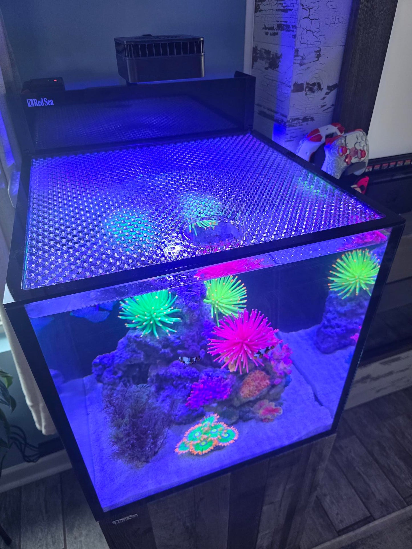 Red Sea Max Nano G2 XL (33g) Honeycomb Lid