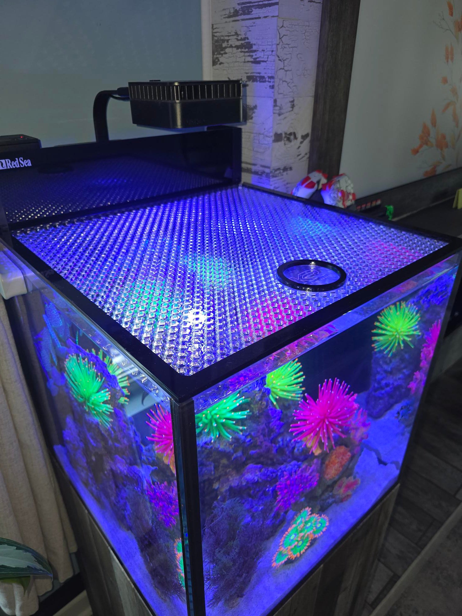 Red Sea Max Nano G2 XL (33g) Honeycomb Lid