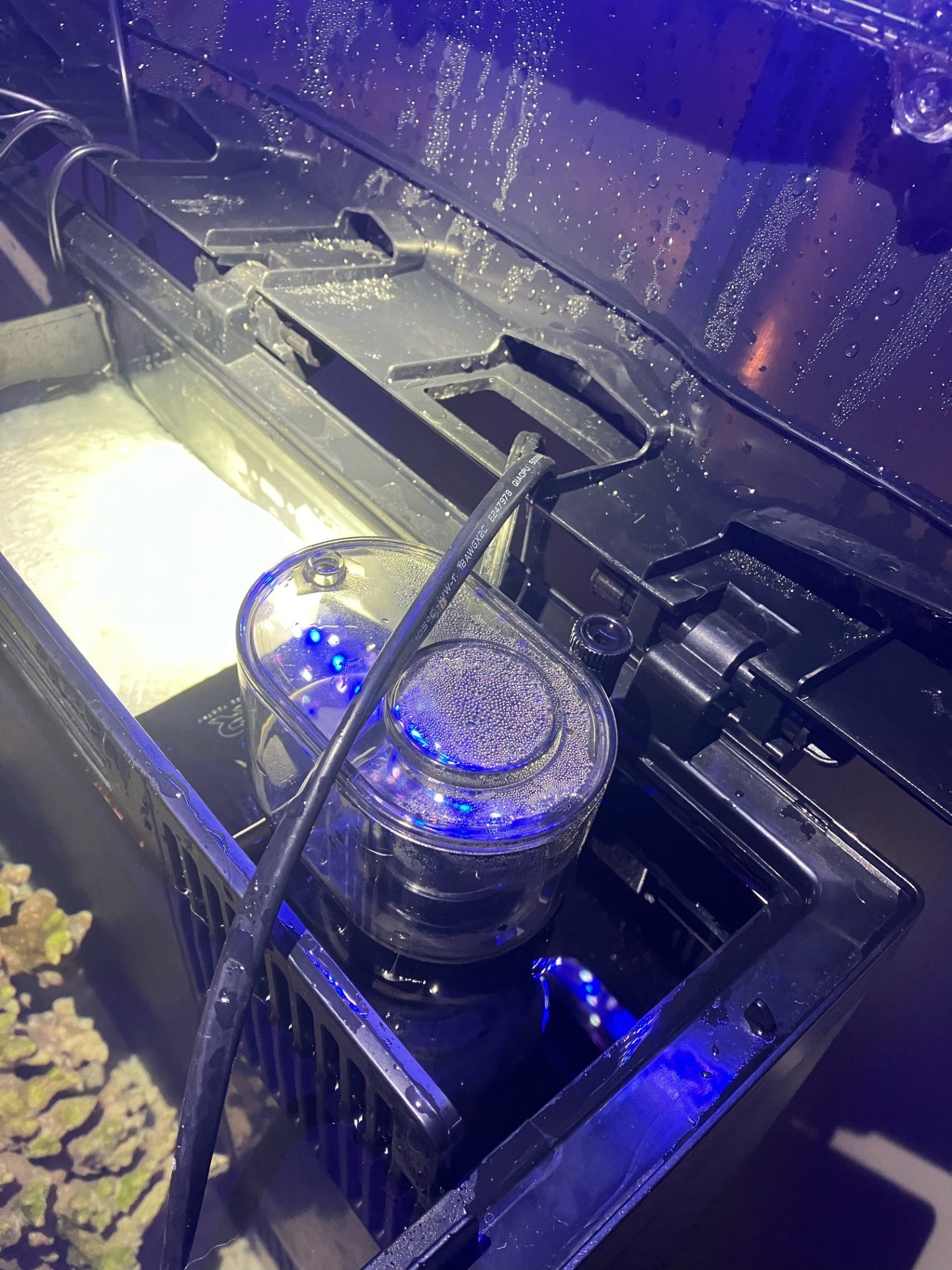 Biocube water director with protein skimmer mount