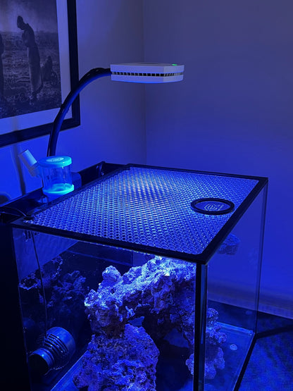 RedSea Desktop Cube Honeycomb Lid